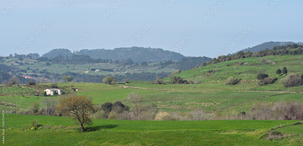Fototapeta premium Rolling Green Countryside with Hills and Rural Farmland