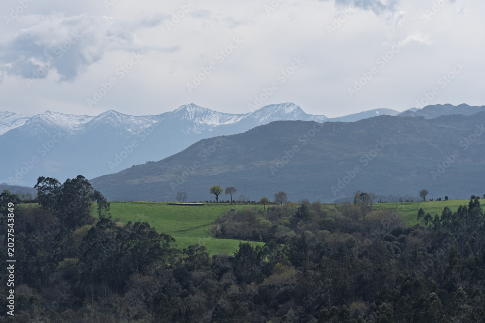 Fototapeta premium Snowy Mountain Peaks Above Green Hills and Forest
