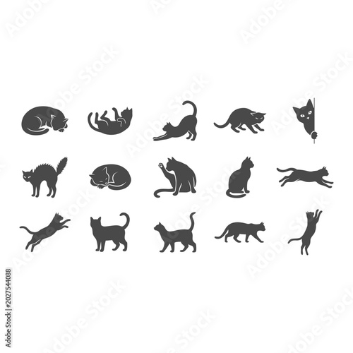 Photography Black Cat Silhouette Vector Collection with Various Cute and Playful Feline Pose