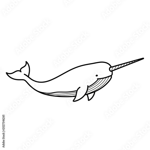 Photography Cute Narwhal Illustration - Minimalist Whale with Horn