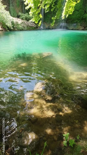 Peaceful forest river in natural landscape