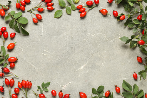 Photography Frame made of fresh rose hip berries and leaves on grey background