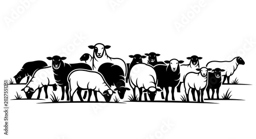 Bild auf Leinwand Flock of Sheep Grazing in a Field, Livestock Farm, Rural Nature Scene