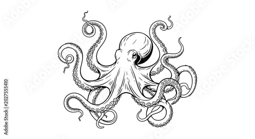 Foto Octopus illustration, hand-drawn sketch, marine life, sea creature, tentacles, c