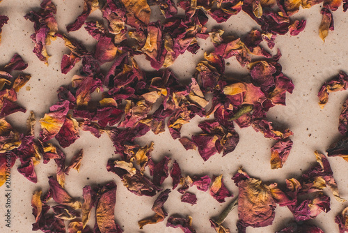 hojas de rosas secas 
