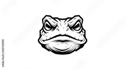 Photos Frog Face Closeup Cartoon Illustration.