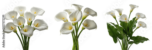 Foto Isolated Calla Lily Bouquet PNG Set White Blossom Flowers for Wedding Floral Arr