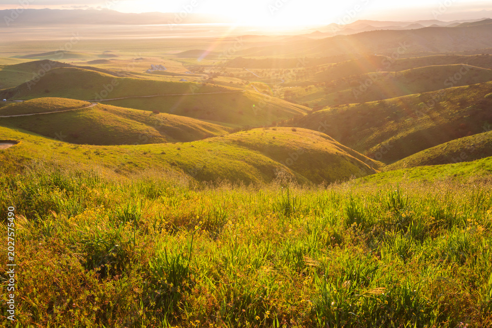 Fototapeta premium Mountains meadow