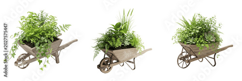 Isolated Garden Wheelbarrow PNG Set with Lush Green Plants and Grass for Landscaping Design Outdoor Gardening Concept and Creative Backyard Scene Project