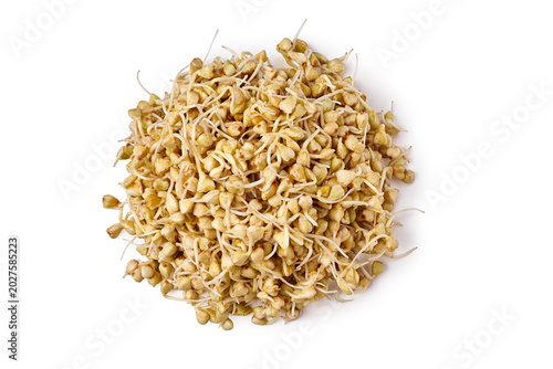 Detailed imagery emphasizing natural buckwheat sprouts along with their seed shells and vibrant shoots