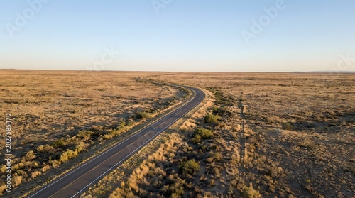 Long winding road stretching across vast arid desert landscape under clear sky
