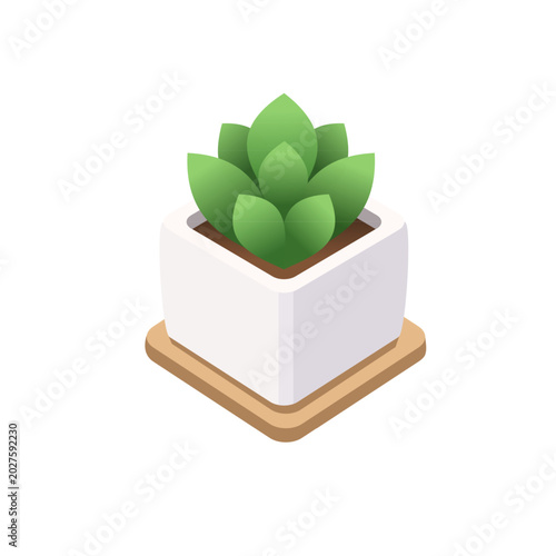 Isometric vector plant in pot