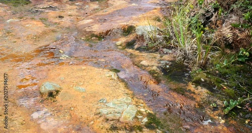 Mineralized stream running through the crater of Pululahua Volcano, near Quito, Ecuador. Has not erupted in 2,000 years, but these eruptions were devastating