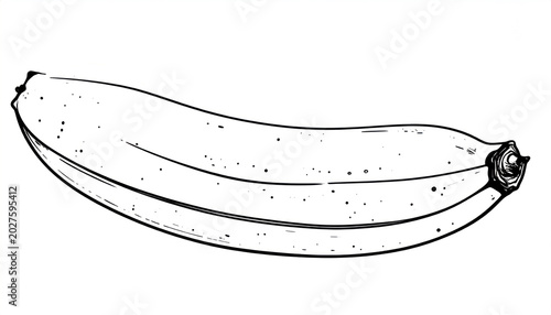 Detailed Banana Illustration - Black and White Fruit Drawing.