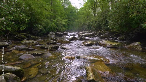 Beautiful waterfall pouring down a rocky cliff in shaded woodland valley, surrounded by lush foliage, humid rainforest atmosphere and fresh mountain nature.