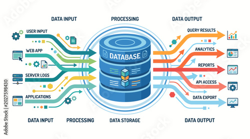 Data flow diagram illustrating database input, processing, storage, and output with analytics, reports, and API access