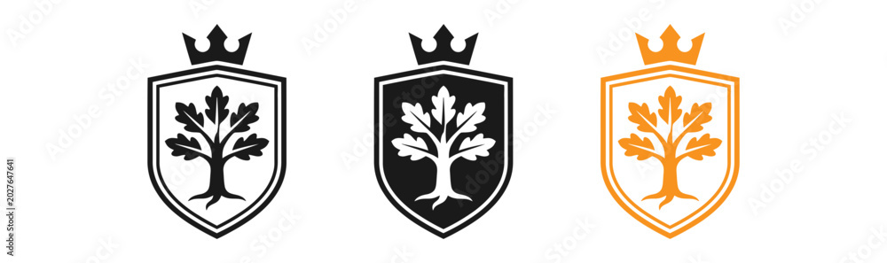Fototapeta premium Three variations of an oak tree crest logo design black white and gold color schemes