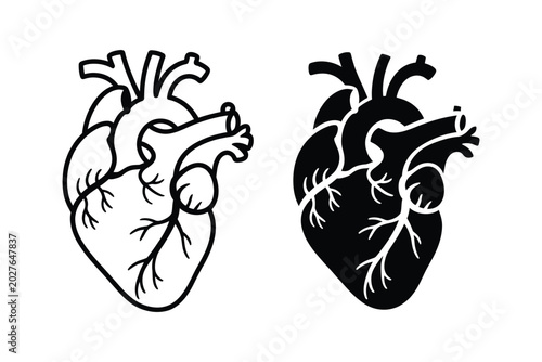 Vászonkép Human heart anatomical icon set with outline and solid black silhouette styles f