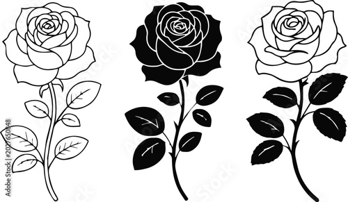 Fotografie rose vector trio stylized rose illustrations line art set for print