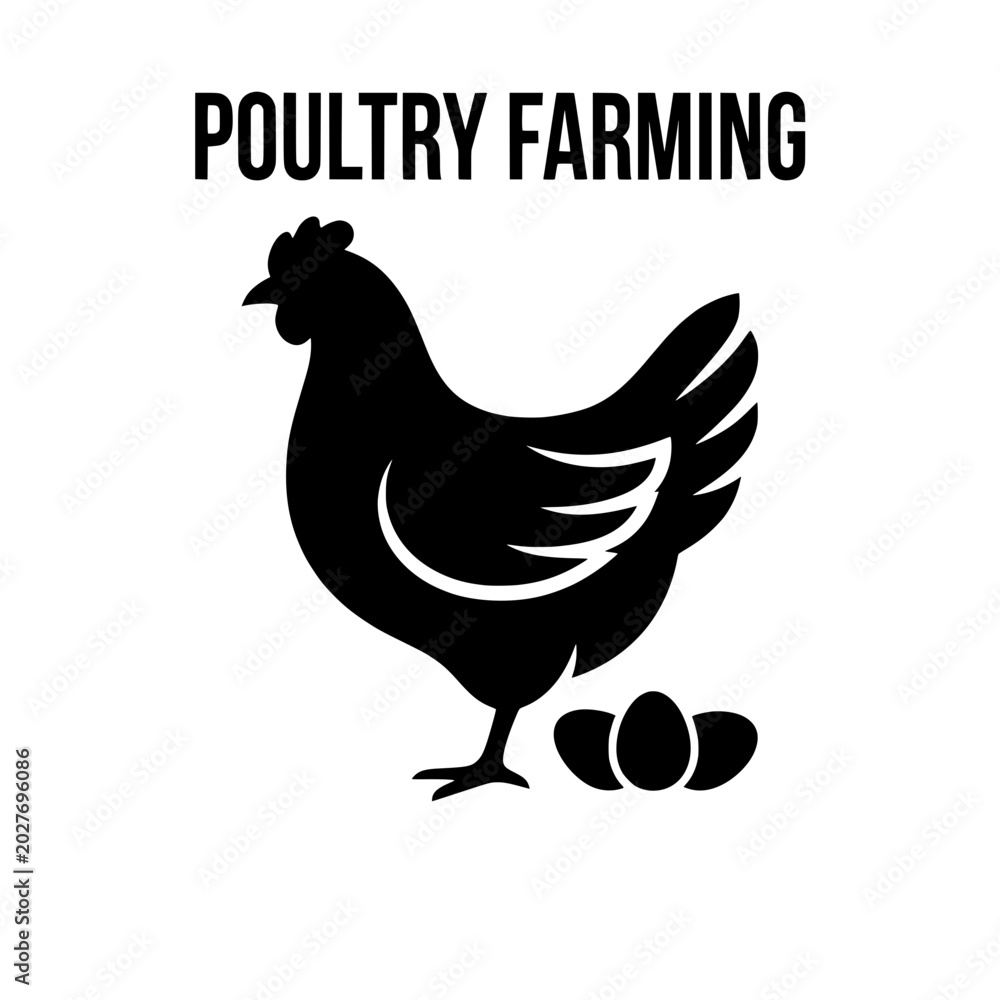 Fototapeta premium Silhouette of a chicken with eggs representing poultry farming.