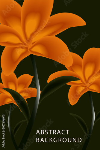 Orange and yellow lily flowers blooming on a black background with vibrant petals and natural floral beauty