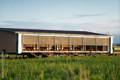 Tableau sur toile Modern free-range chicken farm building surrounded by green fields during golden
