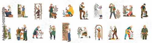 Canvas-taulu Vector Illustration Set of Men and Women Gardening and Caring for Rose Bushes wi