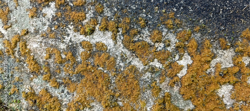 Foto Close-up texture of aged weathered stone surface covered in vibrant orange and g