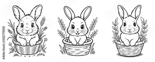 Cute bunny coloring page set, three hand drawn rabbit illustrations in baskets, black and white line art vector for kids activity books