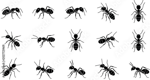 Bild auf Leinwand Ant Silhouette Icon Collection with Black Insect Symbols for Pest Control, Natur
