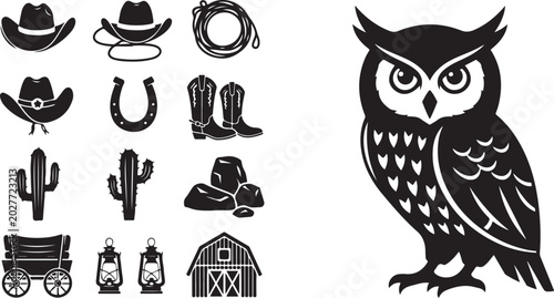 Owl in Western Cowboy Hat and Boots Illustration