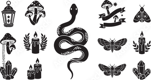 Mystical symbols and creatures in black illustrations set