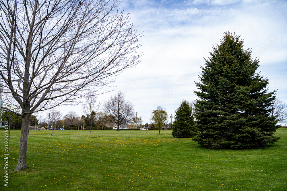 Obraz premium View of Veteran's Point Gardens in Ajax Ontario.