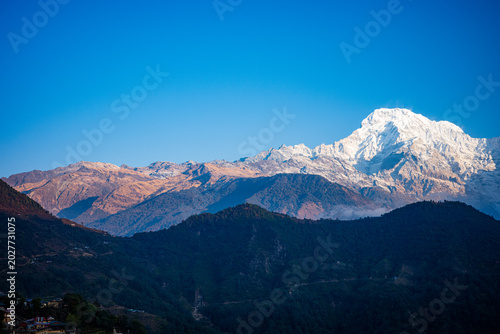 Stunning panoramic landscape of the Annapurna mountain range illuminated by golden sunrise light in the Nepal Himalayas. Snow-covered Himalayan peaks tower above dark forested hills beneath