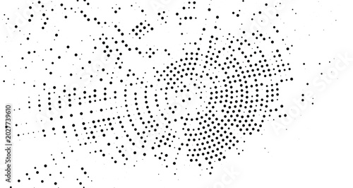 Tableau sur toile Abstract halftone pattern with black dots of varying sizes arranged in a circula