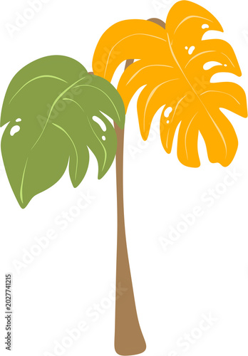 tropical tree