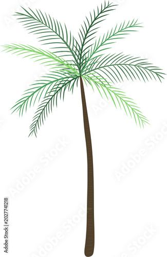 tropical tree