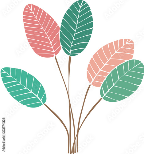 tropical tree