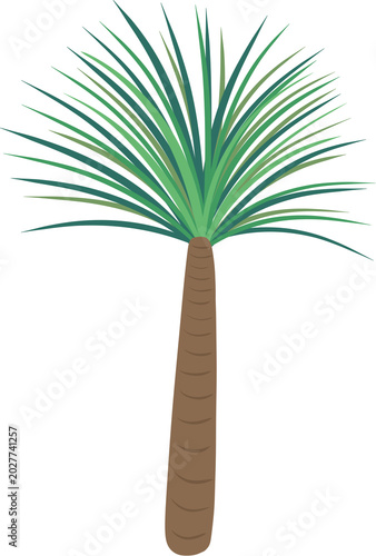 tropical tree