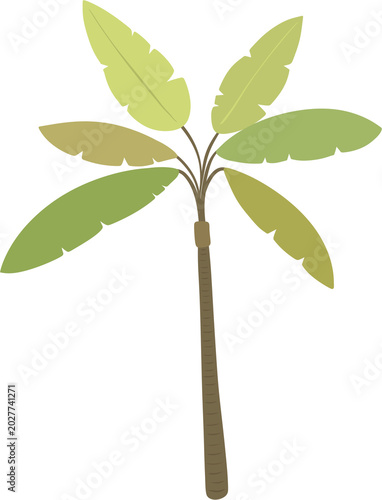tropical tree