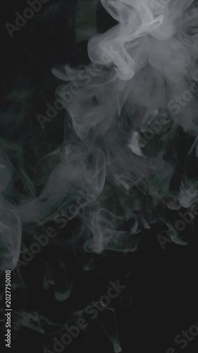 Slow motion of white smoke swirling on black background, elegant abstract motion.