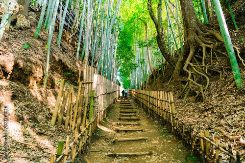stairway to heaven