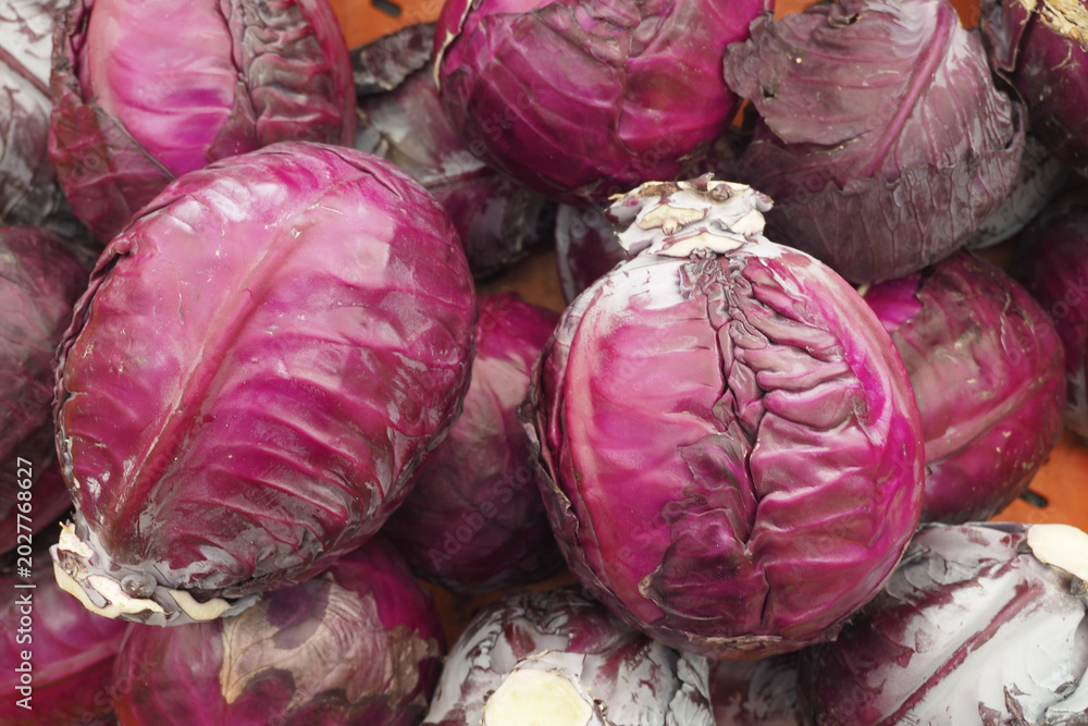 Fototapeta premium Fresh red cabbage in a market setting with bright colors
