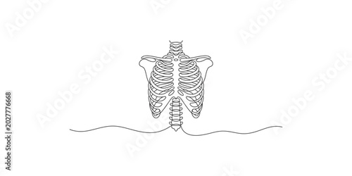 Quadro su tela A detailed line drawing of a human ribcage and spine on white background
