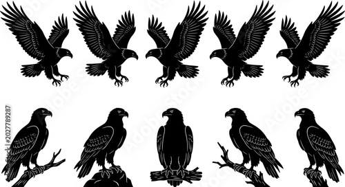 Foto Flying and Perched Eagle Silhouette Icon Set with Hawk Falcon and Bird of Prey S