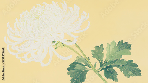 Square pale yellow painting white chrysanthemum stylized light green stem leaves long curved petals to right and bottom diagonal stem downward dark green leaves solid background