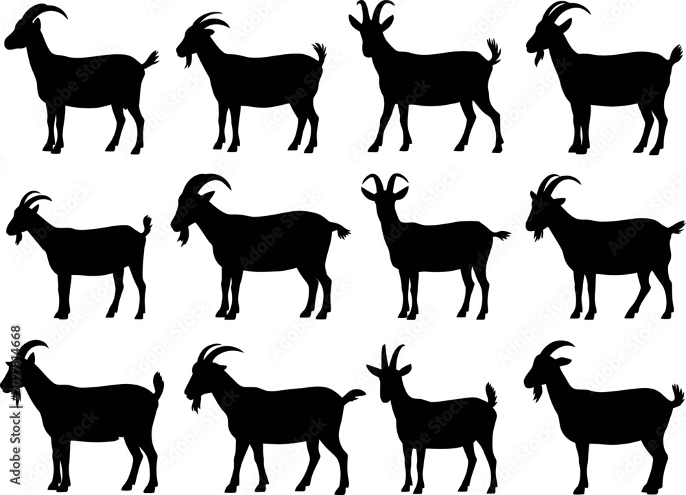 Fototapeta premium Collection of goat silhouettes with horns silhouette livestock standing collection