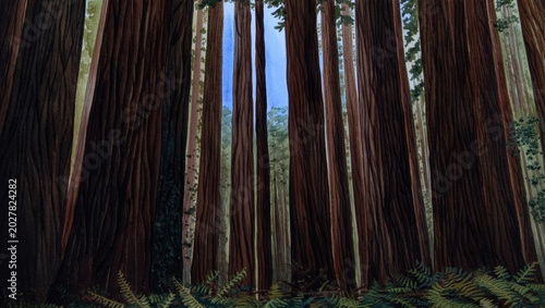 Tableau sur toile Majestic Redwood Forest with Ferns