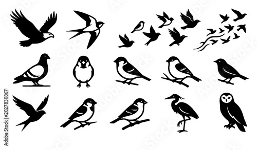 Foto Vintage bird vector set with rustic woodcut engraved silhouettes and hand drawn
