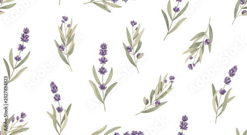Watercolor Lavender Flowers Seamless Pattern Background, Botanical Illustration